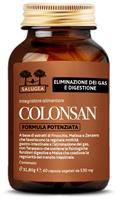 COLONSAN FORM POT SALUGEA60CT