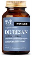 DIURESAN FORM POT SALUGEA60CT