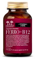 FERROB12 SALUGEA 60CPS